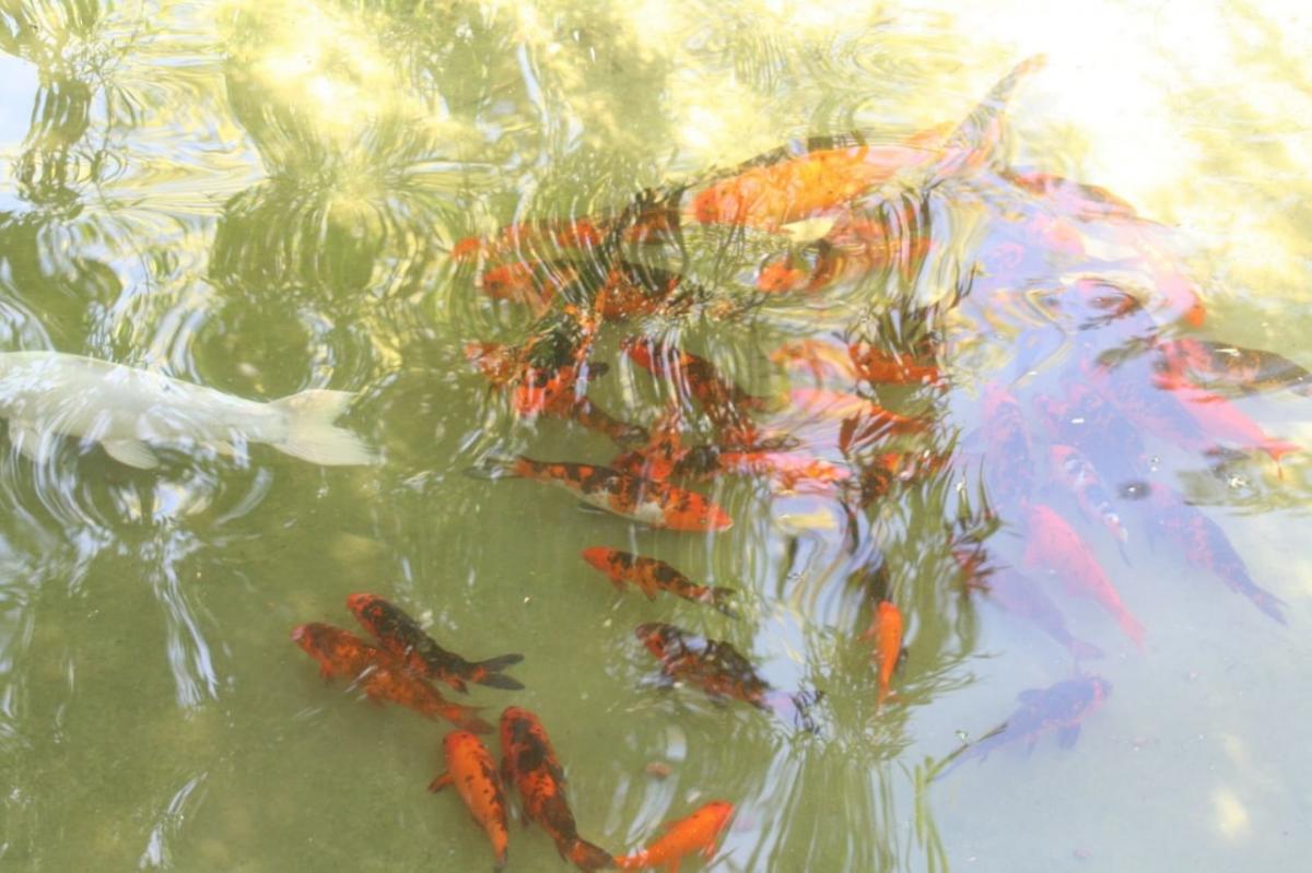 Одеса сьогодні, 11 травня: що відбувається у місті та області зараз (онлайн)