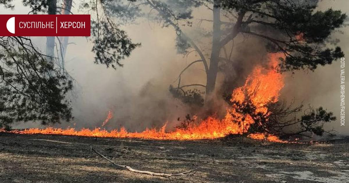Що зараз відбувається у Херсоні та області: головні новини за 12 травня Що зараз відбувається у Херсоні та області: головні новини за 12 травня
