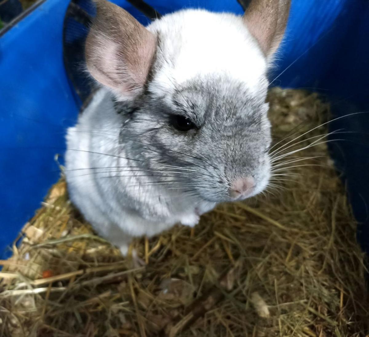 Що сьогодні відбувається в Одесі: хроніка війни у місті та області 12 травня Що сьогодні відбувається в Одесі: хроніка війни у місті та області 12 травня