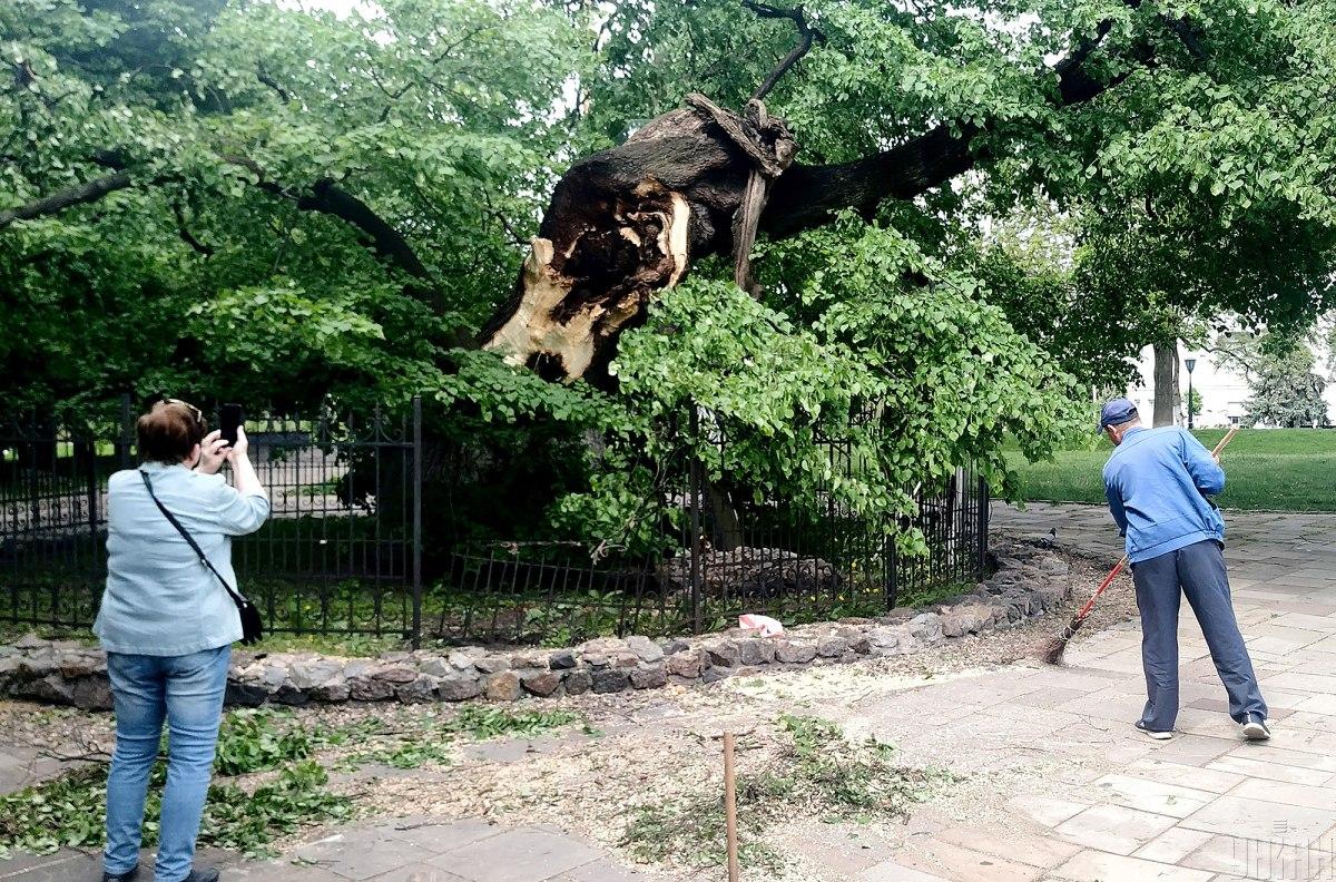 фото УНІАН, Олександр Синиця