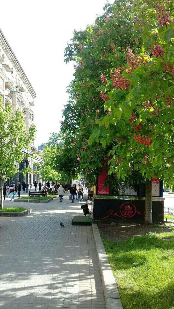 Обстановка в Киеве и области 13 мая: хроника войны за сегодня Обстановка в Киеве и области 13 мая: хроника войны за сегодня