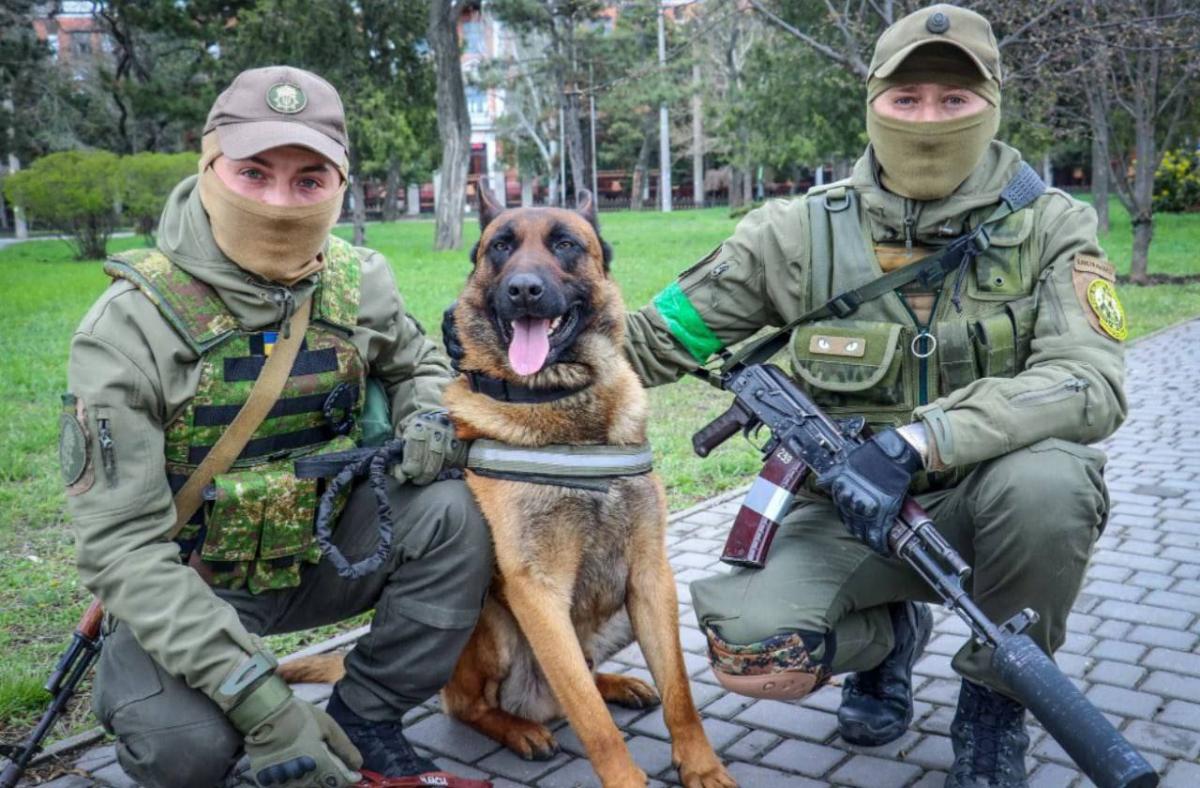 Головні новини Миколаєва за 14 травня: хроніка війни в місті та області Головні новини Миколаєва за 14 травня: хроніка війни в місті та області