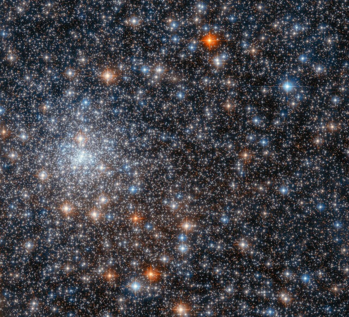 Хаббл сфотографировал шаровое скопление звезд в созвездии Стрельца / фото ESA/Hubble & NASA, R. Cohen