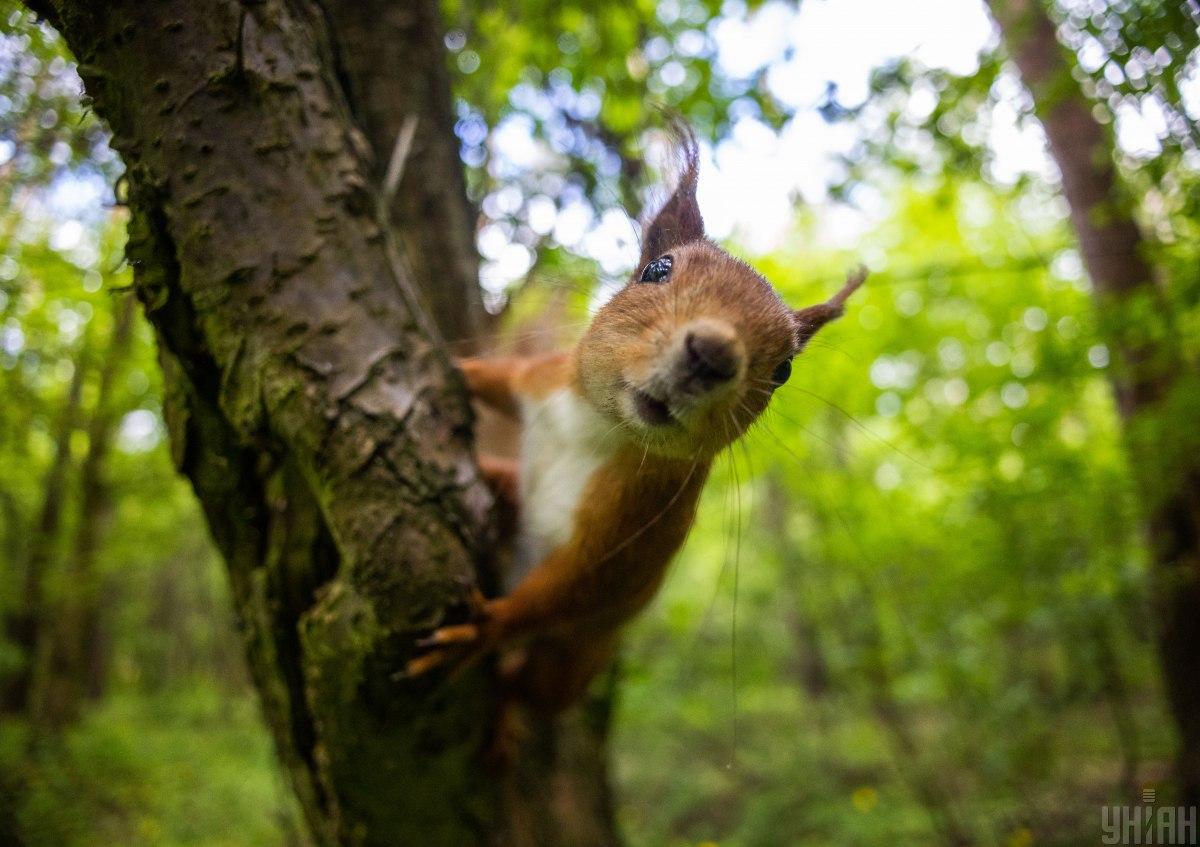 Последний день весны - картинки и цитаты / фото УНИАН