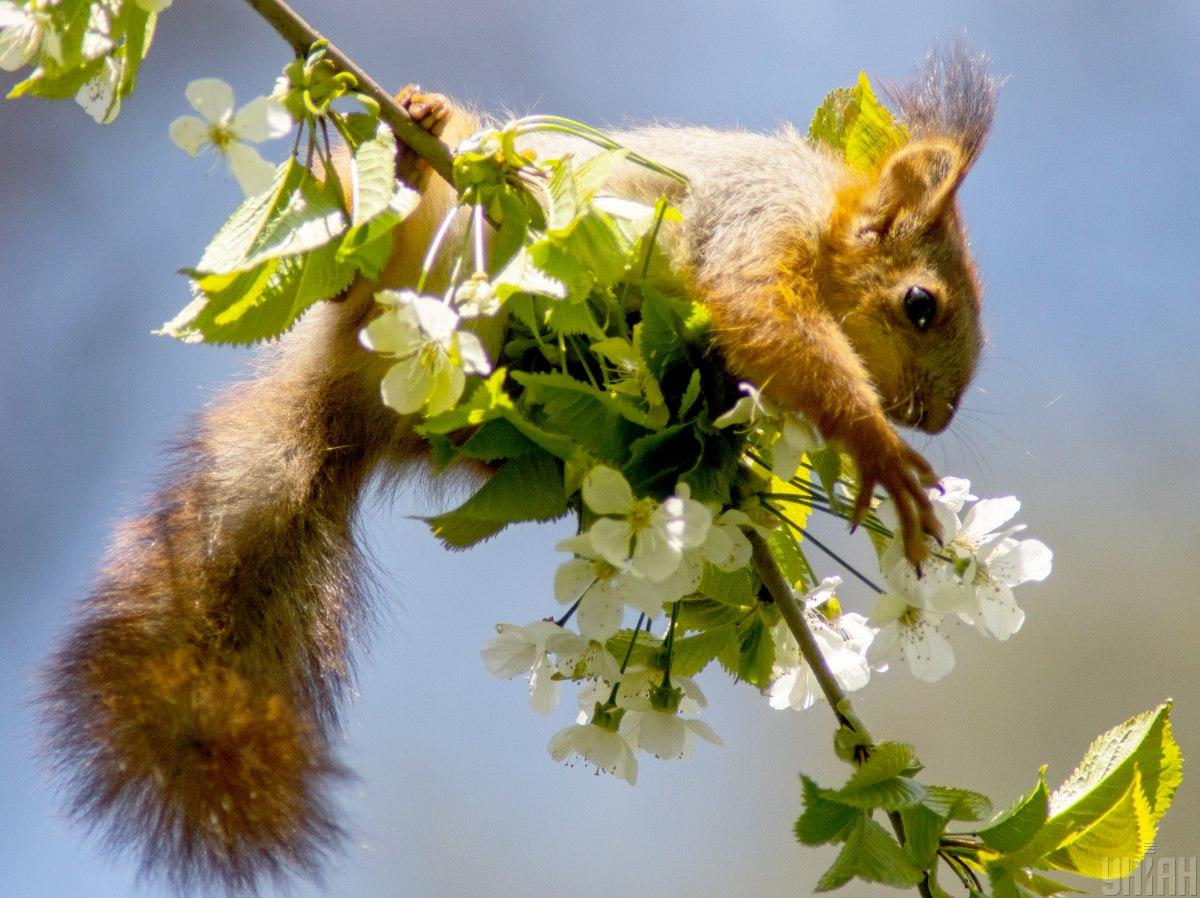 Народні прикмети сьогодні / фото УНІАН Народні прикмети сьогодні / фото УНІАН
