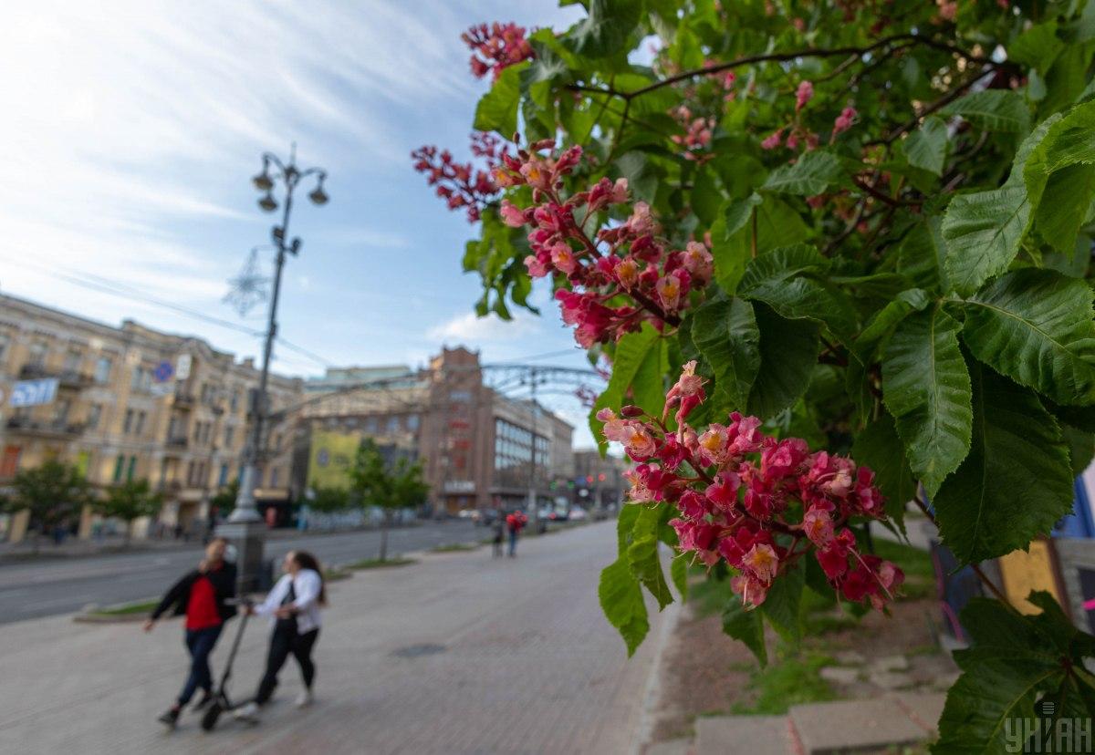 Май-2022 в Киеве оказался прохладнее, чем обычно / фото УНИАН