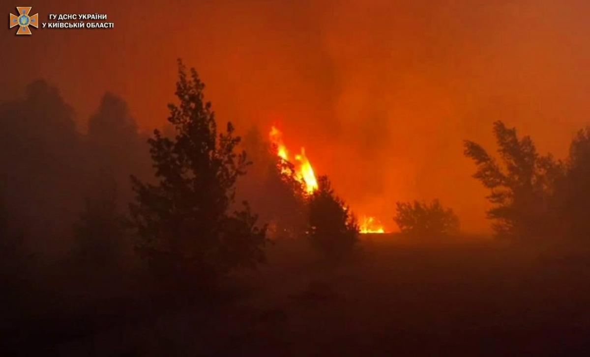 В Киевской области вспыхнул мощный лесной пожар /фото ГСЧС Украины