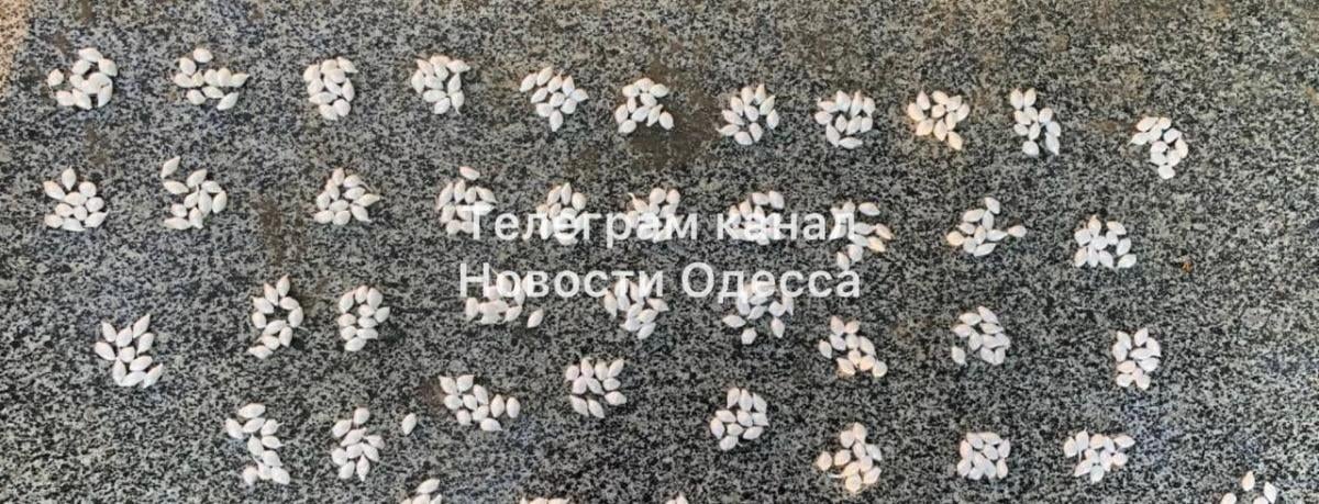 Одесса сегодня, 18 мая: что происходит в городе и области Одесса сегодня, 18 мая: что происходит в городе и области