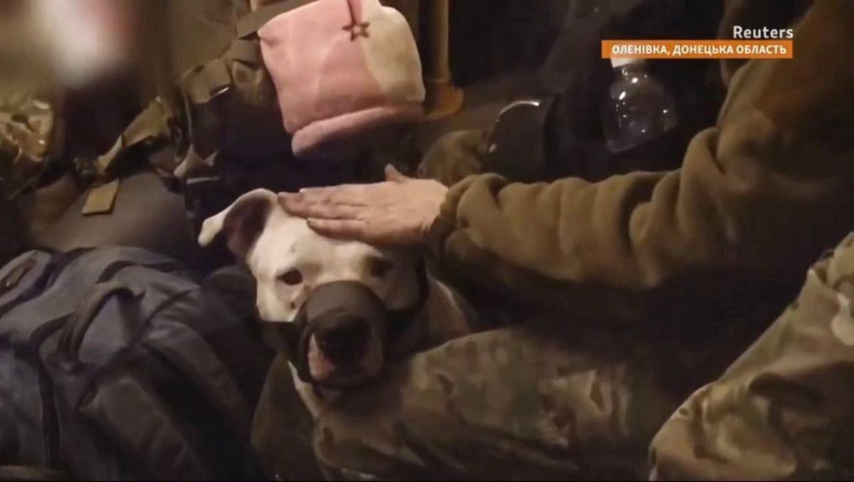 Какая обстановка в Мариуполе 18 мая: главные новости за сегодня Какая обстановка в Мариуполе 18 мая: главные новости за сегодня