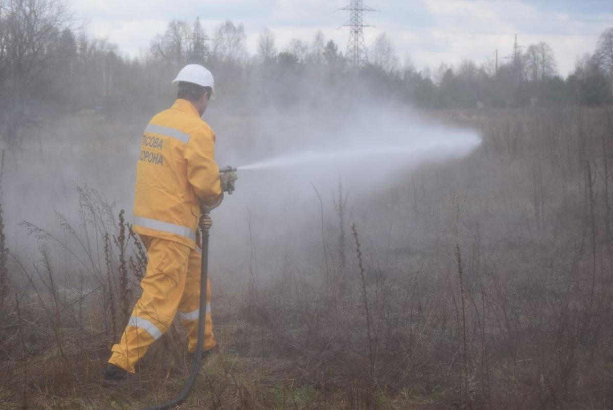 В Чернобыльской зоне горит лес на площади более 1,5 тыс. га / фото ДАЗВ