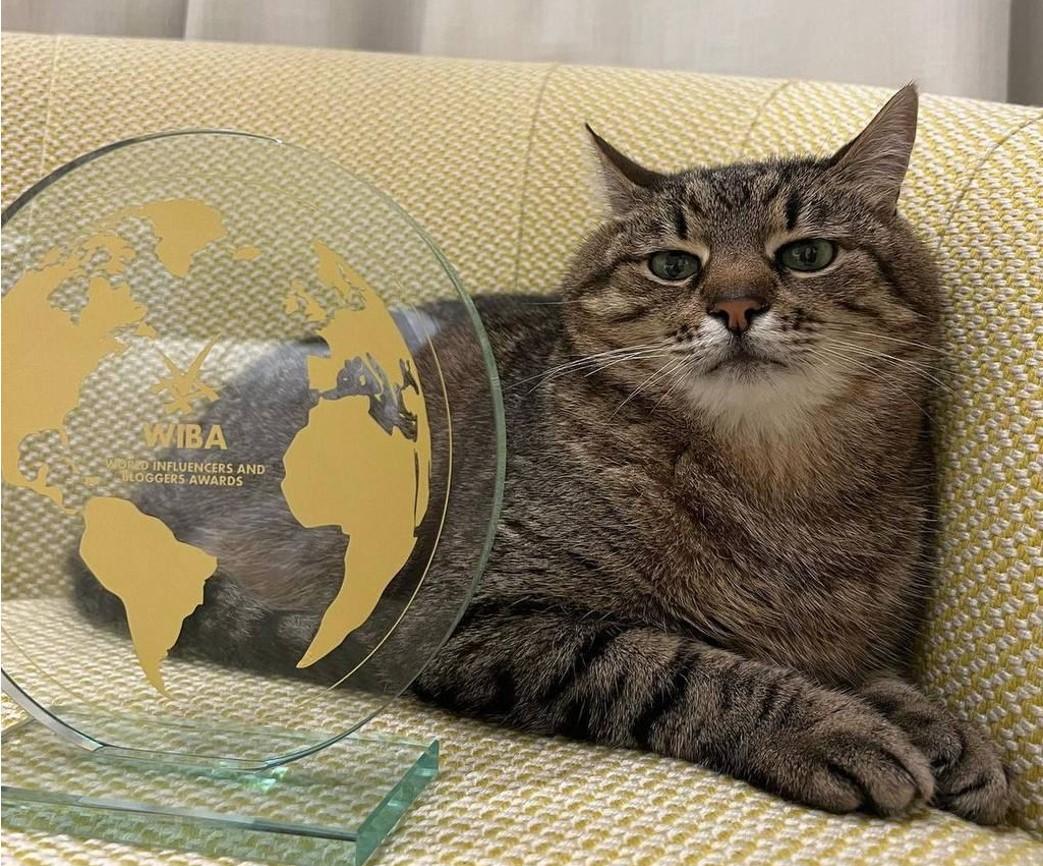 Кот-блогер Степан получил престижную премию в Каннах/ фото Instagram/loveyoustepan Кот-блогер Степан получил престижную премию в Каннах/ фото Instagram/loveyoustepan