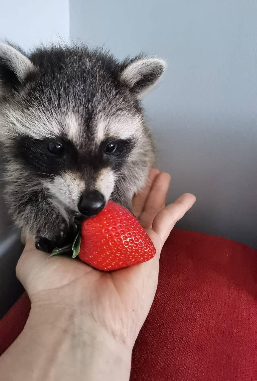 Війна в Україні: яка ситуація у Маріуполі сьогодні, 19 травня