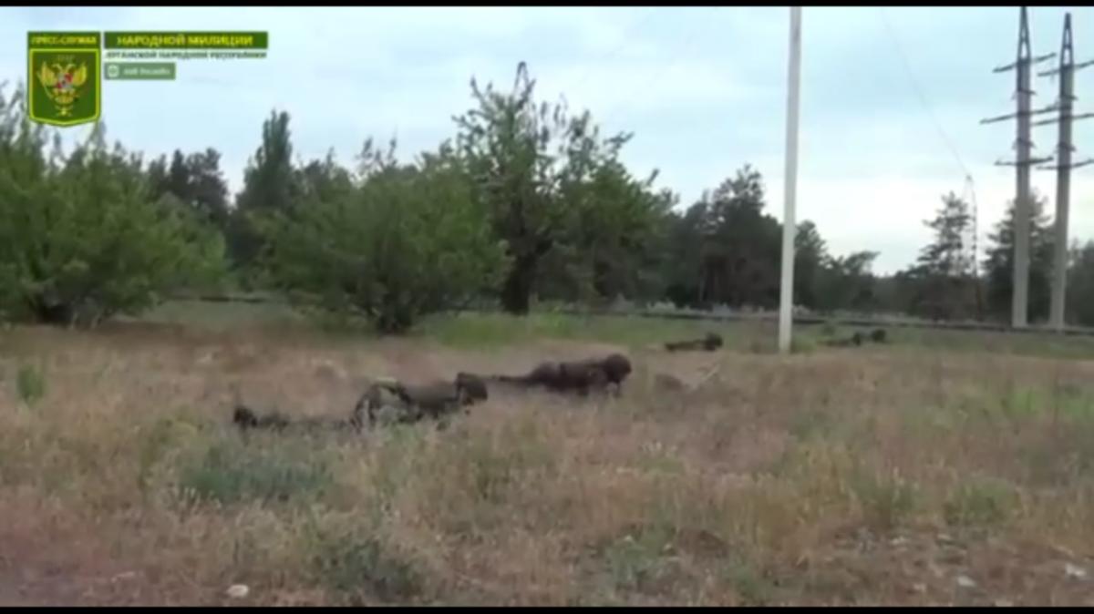 Боевики "ЛНР" опозорились постановочным роликом с передовой / скриншот