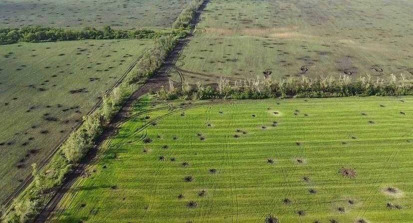 Головні новини Харкова за 26 травня: що відбувається у місті та області сьогодні Головні новини Харкова за 26 травня: що відбувається у місті та області сьогодні