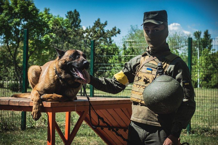 Брошенный оккупантами пес Макс теперь служит в рядах Нацгвардии Украины / фото НГУ