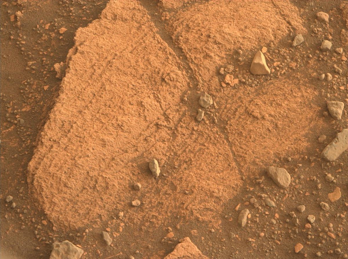 Марсоход приступил к поиску следов жизни на Марсе / фото NASA's Perseverance Mars Rover