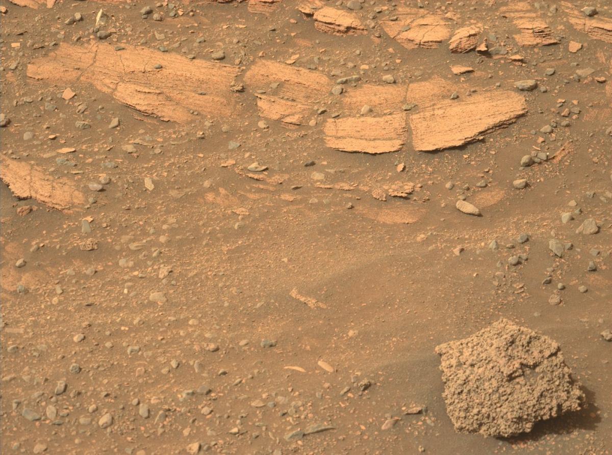 Так поверхность Марса выглядит с близкого расстояния / фото NASA's Perseverance Mars Rover