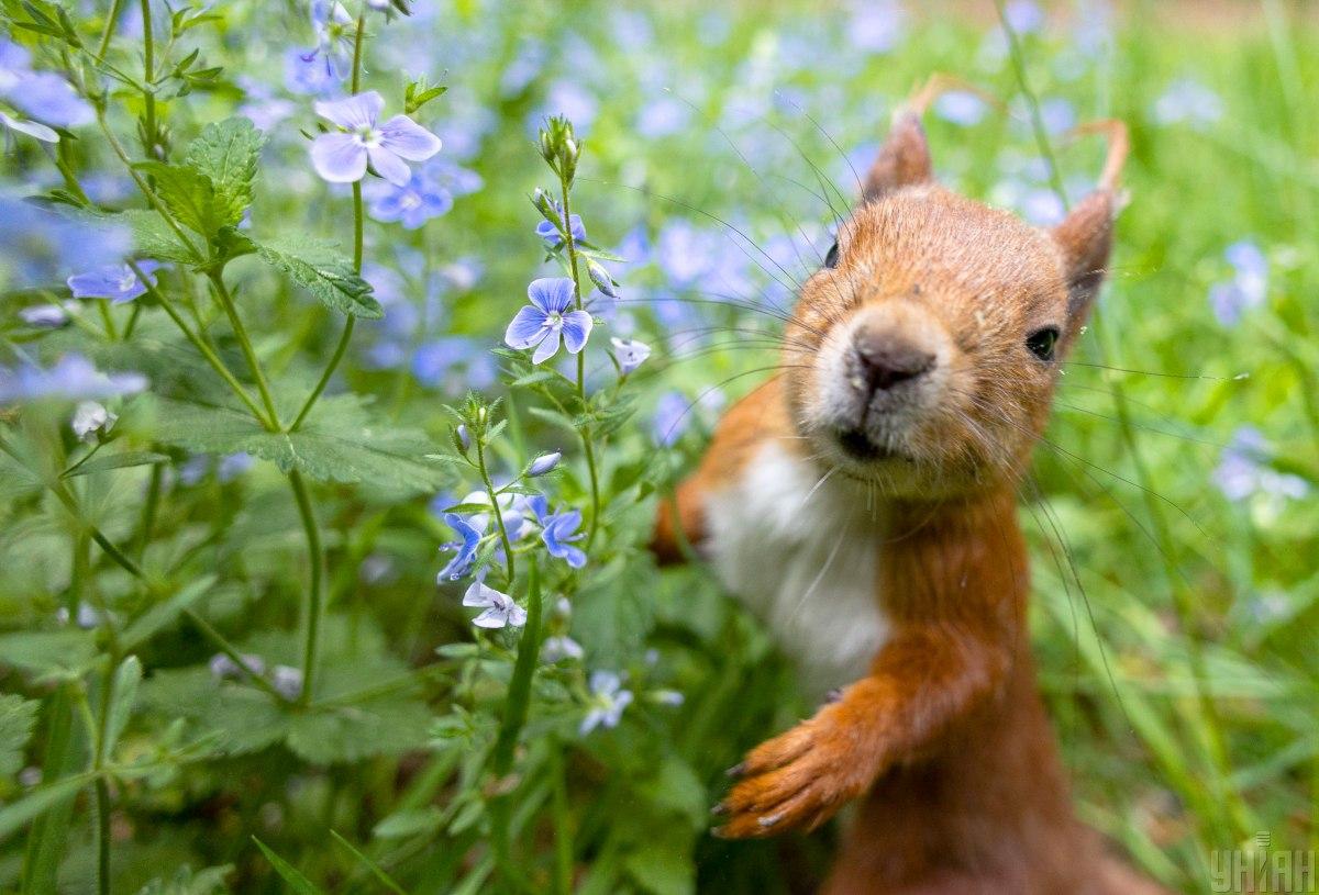 21 мая в Киеве будет очень тепло / фото УНІАН