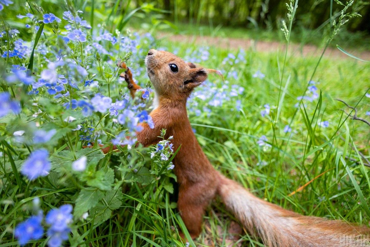 На вихідних в Україні поступово знизиться температура / фото УНІАН