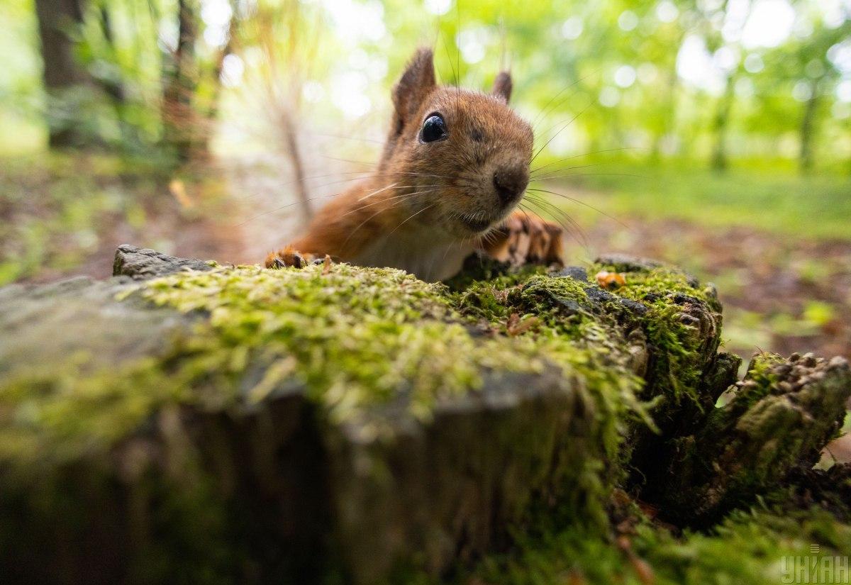 На вихідних в Україні буде прохолодно / фото УНІАН На вихідних в Україні буде прохолодно / фото УНІАН