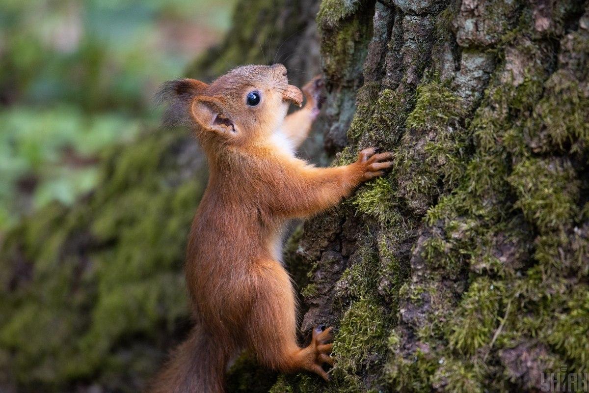 В Україні очікується похолодання / фото УНІАН