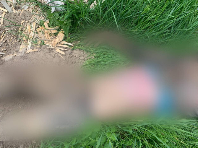 В Киевской области нашли тело мирного жителя / фото facebook.com/pol.kyivregion