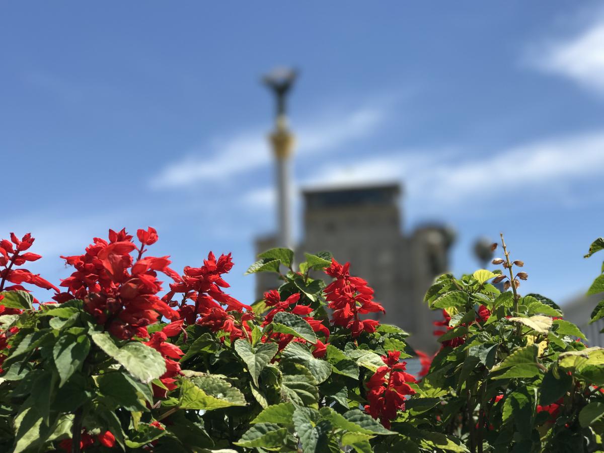 13 липня у Києві буде спекотно / фото ua.depositphotos.com 13 липня у Києві буде спекотно / фото ua.depositphotos.com