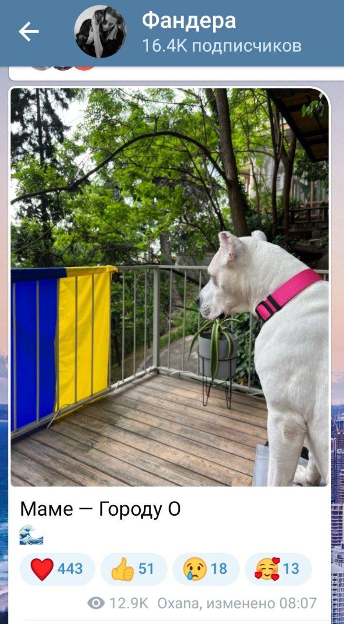 Оксана Фандера / Скріншот публікації в Telegram-каналі Оксана Фандера / Скріншот публікації в Telegram-каналі