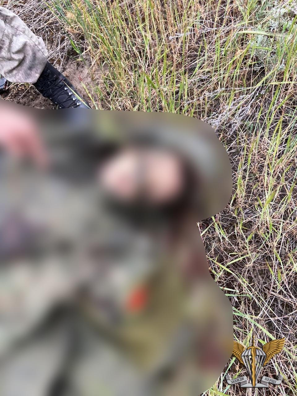 Ликвидированныее оккупанты / фото ДШВ ВСУ Ликвидированныее оккупанты / фото ДШВ ВСУ