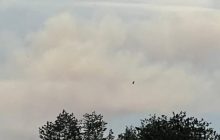 На Николаевщине оккупанты "боролись" с украинскими удобрениями - Ким (фото)