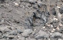 "Денацифицировали" кур - перешли на свиней: оккупанты снова обстреляли Днепропетровщину (фото)