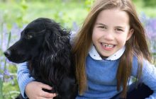 Британской принцессе Шарлотте сегодня 7 лет: королевская семья показала новые фото наследницы