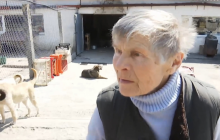 77-летняя владелица приюта для животных в Гостомеле рассказала, как пережила оккупацию