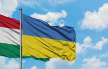 Украинские дипломаты смогли вывезти из Венгрии еще нескольких военнопленных