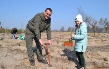 За время полномасштабной войны лесоводы Украины высадили более 100 миллионов деревьев