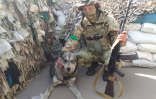 "Не переносит оккупантов": харьковские пограничники взяли на службу Терминатора (фото)