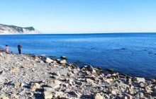 "Полная деградация": россияне нашли на пляже мертвого дельфина и пожарили на костре (фото)