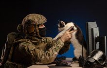 В "первой мировой кибервойне" Россия вообще не имеет союзников – эксперт