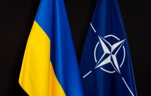 НАТО не готово принять Украину в Альянс - бывший посол США в Украине