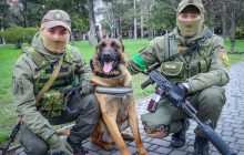 Пес из Росгвардии за месяц выучил команды на украинском языке и готовится служить в ВСУ