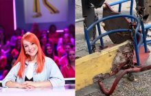 Тарабарова показала моторошні кадри розбитого дитячого майданчика на території її ЖК (відео)