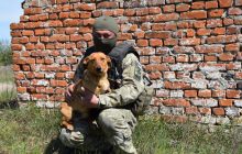 Надихає і допомагає: прикордонники показали свого собаку-"добровольця" Туксона (фото)