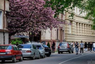 В Ужгороді щосили квітнуть сакури (фоторепортаж)