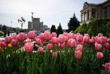 Навіть під час війни зустрічаєш квітами й каштанами: Олена Зеленська привітала з Днем Києва (відео)