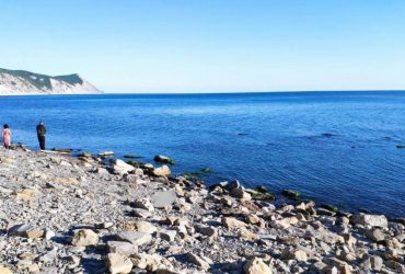 Полная деградация: россияне нашли на пляже мертвого дельфина и пожарили на костре (фото)