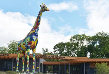 У Київському зоопарку показали, як тварини готуються до зими (відео)