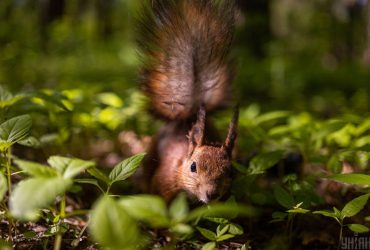 Народные приметы на каждый день в июне: календарь славянских праздников