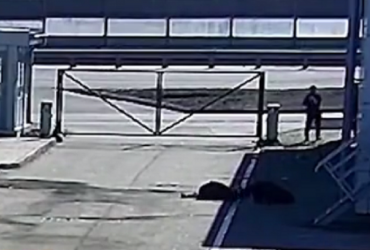 МВС з'ясувало імена окупантів з відео CNN, які вбили двох цивільних на Київщині