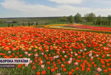 В разрушенный парк на Киевщине возвращается жизнь