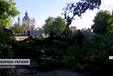 Из-за урагана в Киеве упала липа митрополита Петра Могилы